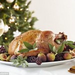 fancy-turkey-dinner